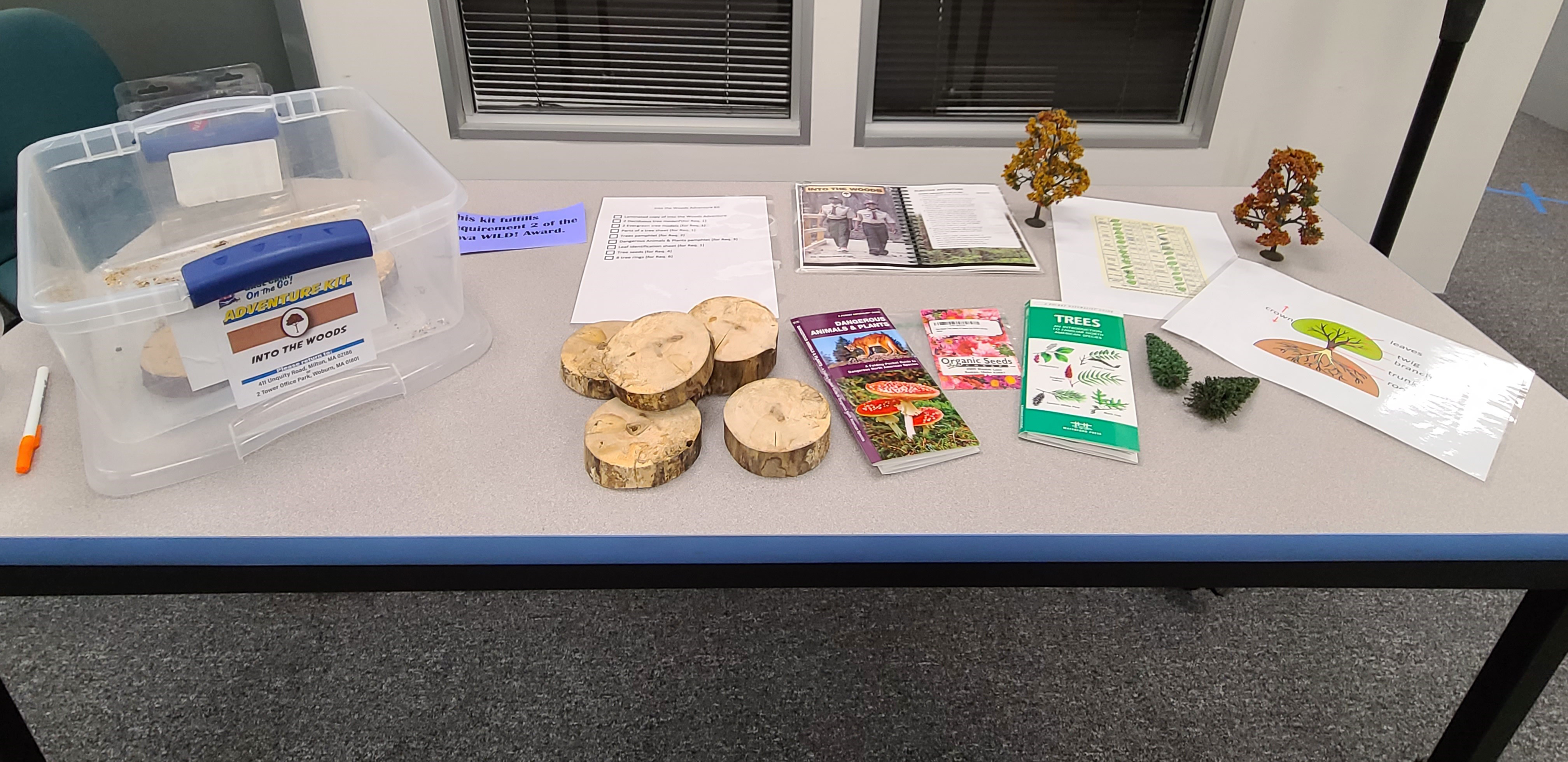 Into the Woods kit pic 3