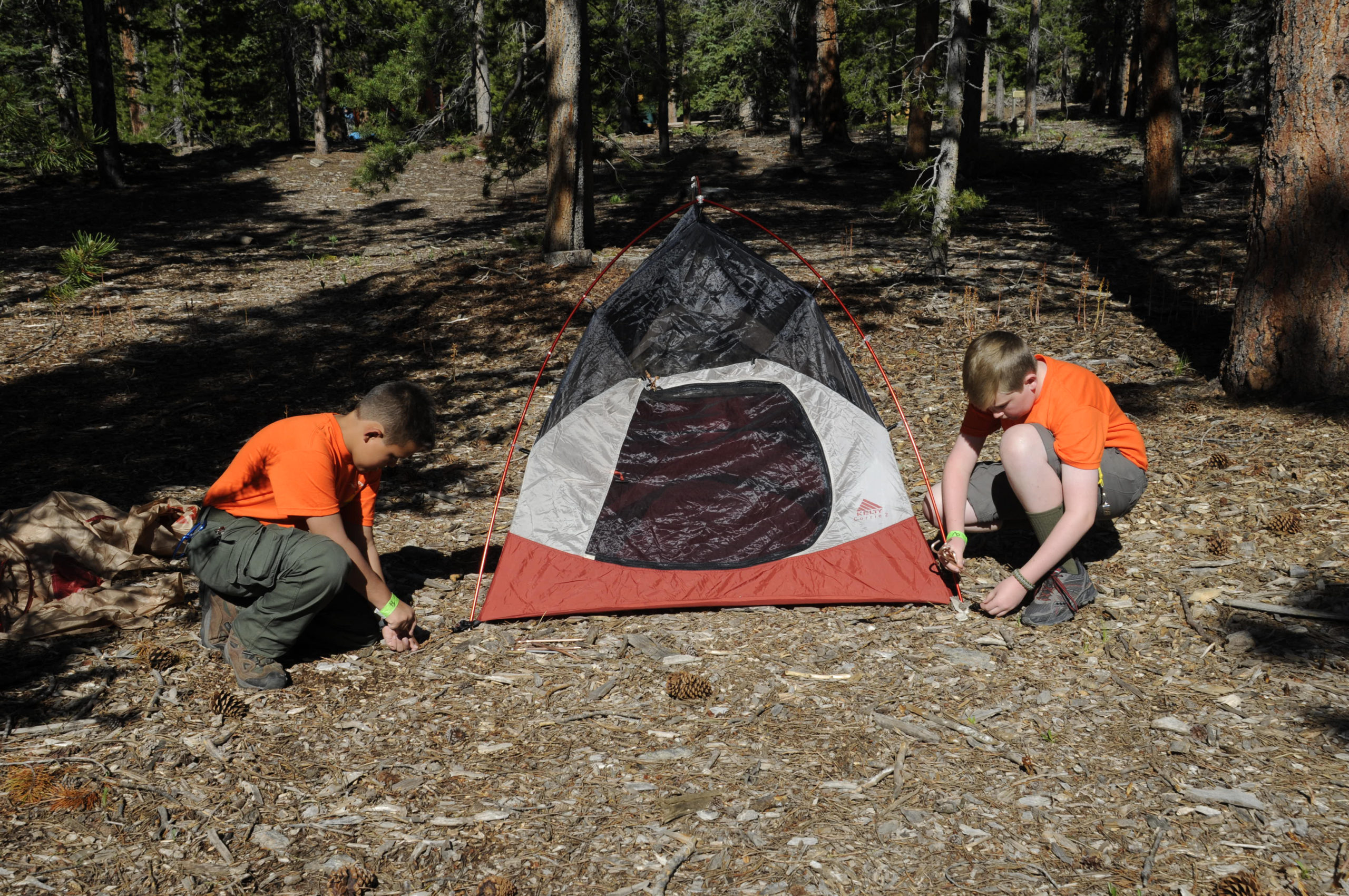 7221 13th Edition Boy Scout Handbook Art # 939 940 941 New photos in sequence of Scouts putting up a tent. Should be same Scouts as in the ground cloth photo above..**********Beginning of Shooting Data Section**********.NIKON D300     iso - 100     f/8     shutter - 1/250.file name - 7221-NEF-0065.NEF     date - 6/17/15     time - 8:06:06 AM.program - Manual     white balance - AUTO.meter  - multi-segment     tone comp -      exp. comp - 0.0.flash - no flash     flash comp - 0.0.focus mode - AF-S     lens type - AF Zoom 18-135mm f/3.5-5.6G.id -      firmware - Ver.1.00.meter mode - multi-segment     color mode - .serial # - 3062927     sharpness -      tone comp - .